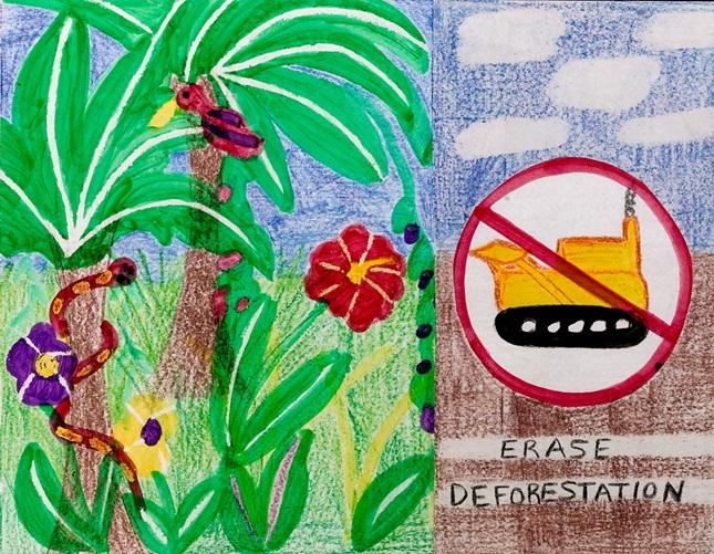 Erase It! Deforestation | crayola.com